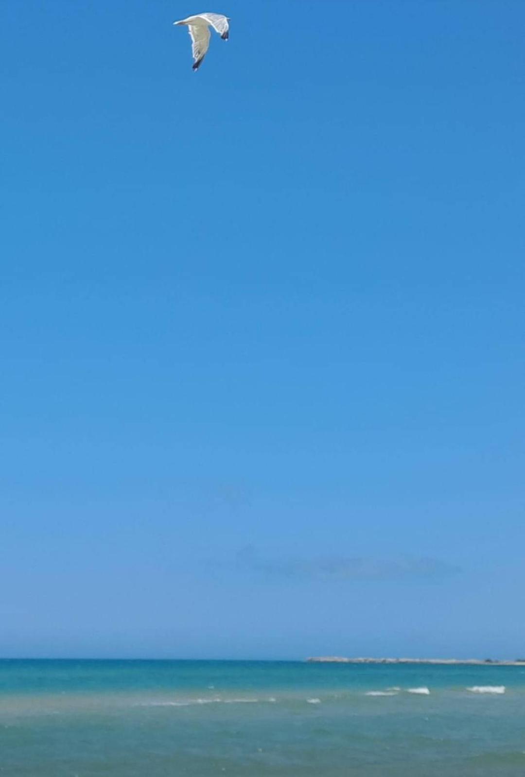 La Foggia Seaside Paradise Сікуліана Екстер'єр фото